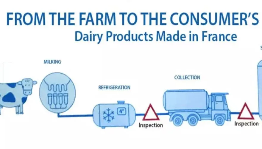 The French dairy industry – from farm to table