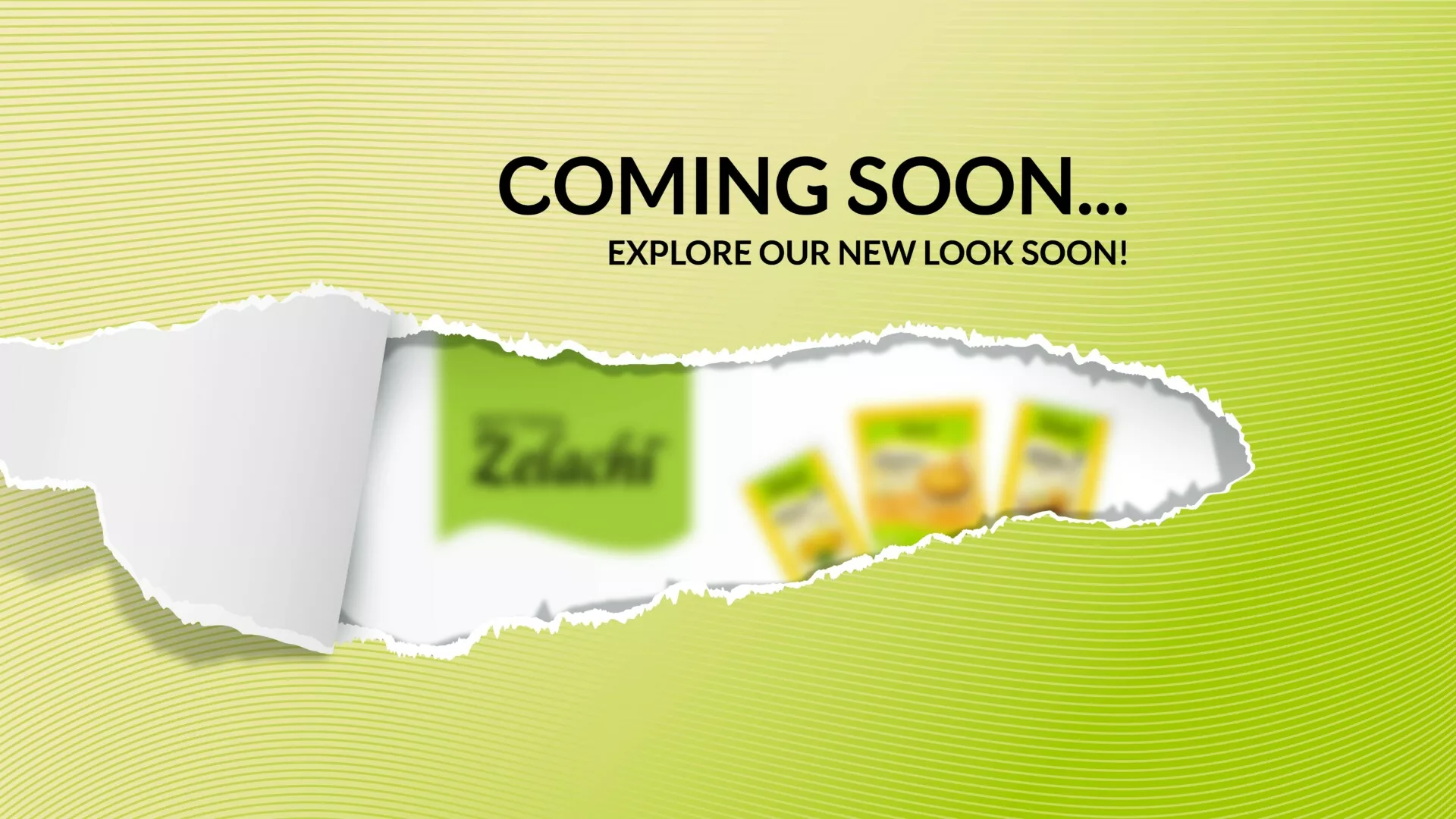 Bottega Zelachi | Hành trình chuyển mình – Sự kiện ra mắt diện mạo mới tháng 10