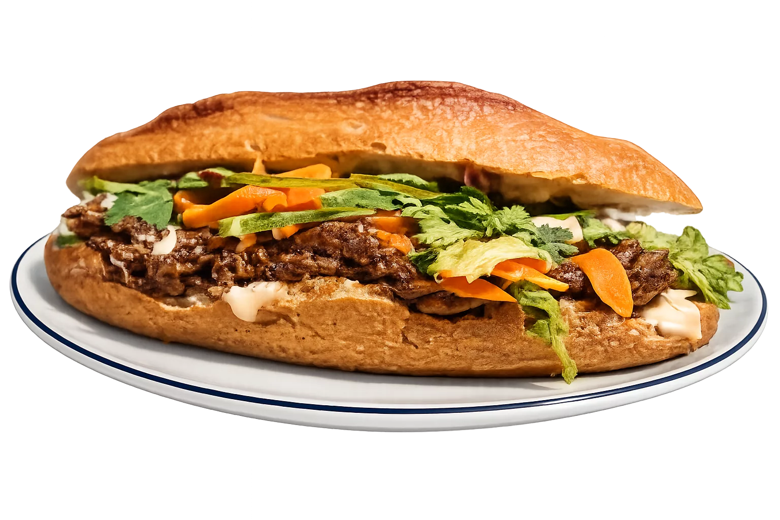 BBQ Beef Banh Mi